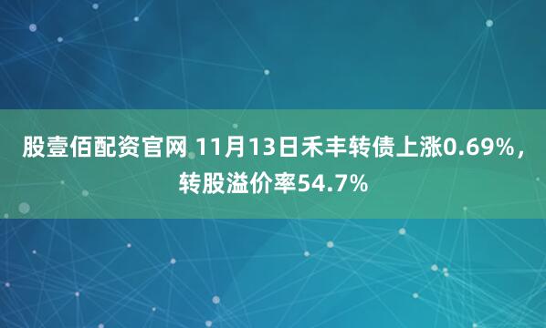 股壹佰配资官网 11月13日禾丰转债上涨0.69%，转股溢价率54.7%