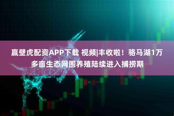 赢壁虎配资APP下载 视频|丰收啦！骆马湖1万多亩生态网围养殖陆续进入捕捞期
