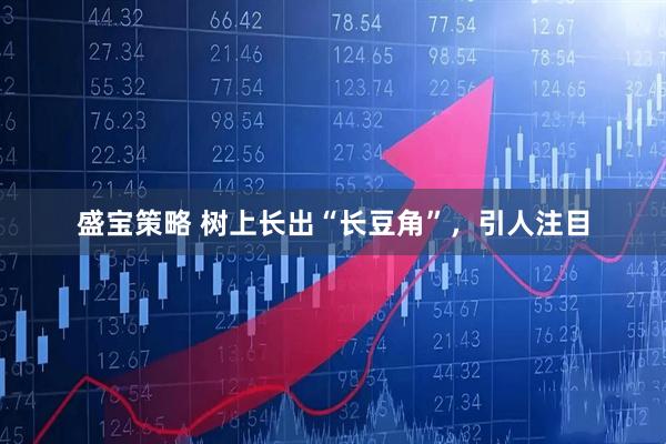 盛宝策略 树上长出“长豆角”，引人注目